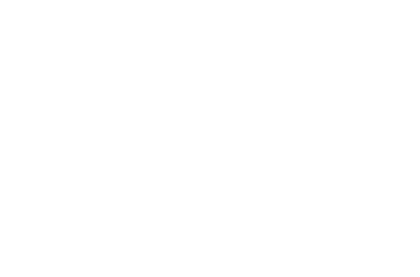 IndieMerch Shops